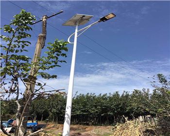 西安藍(lán)田縣竹峪鎮(zhèn)新農(nóng)村太陽能路燈